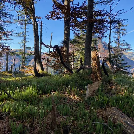 Seeglueck Am - Sehr Stylisch, Zentral Und Neuerbaut 왈츠시